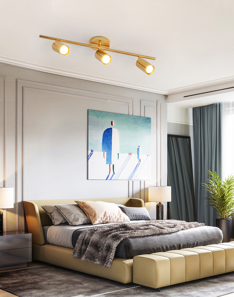 Đèn rọi ống LED xi vàng cao cấp NTR501